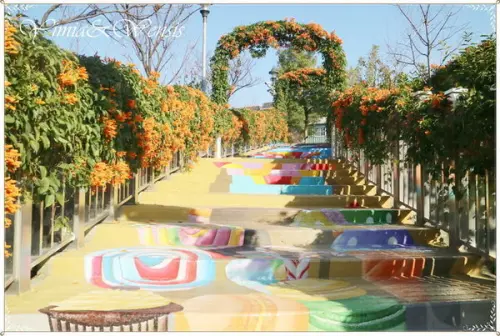[新北鶯歌]炮仗花拱門。3D彩繪步道~永吉公園