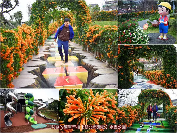 ﹝新北市鶯歌遊記﹞永吉公園　新北春節期間限定美景，喜氣又唯美的炮仗花拱門空橋　／2020.01.12花況／新北炮仗花秘境／新北春節免費賞花景點／新北市特色親子公園