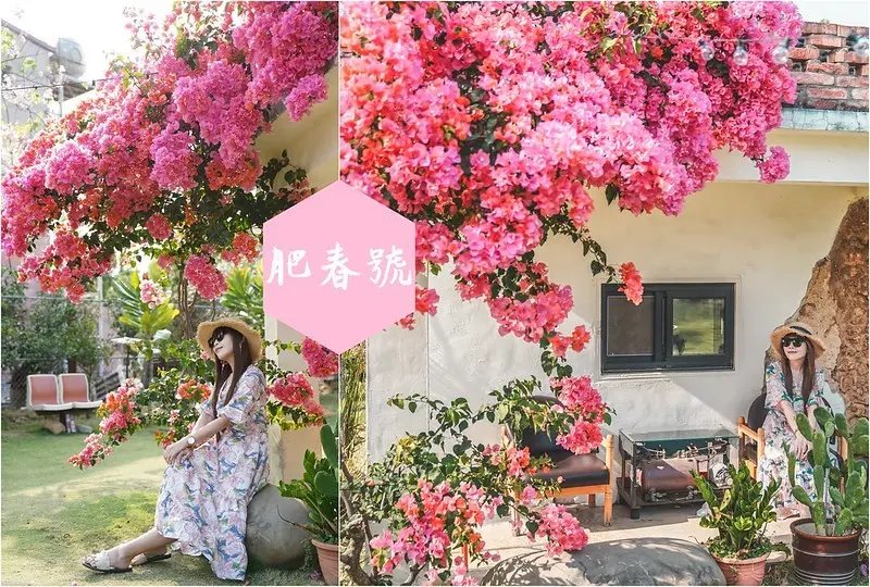 【屏東恆春｜美食】肥春號。恆春美食推薦，廢墟老宅風格，九重葛盛開美呆，大片草地悠閒，餐點好吃