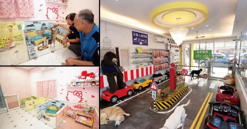 桃樂斯寵物美容住宿