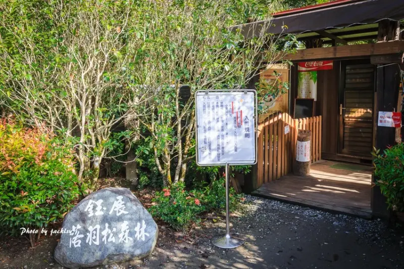 181216花蓮-鈺展落羽松森林