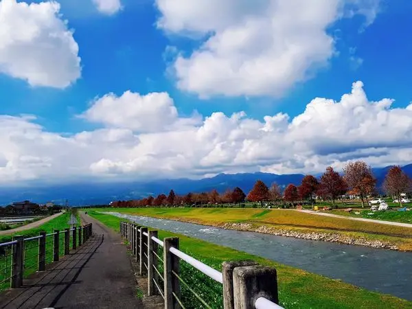 【三星落羽松秘境】2019宜蘭最夯落羽松步道/兩排落羽松翻紅美景/2019.1.11最新分享