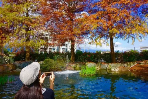 【益得畑之菓】宜蘭三星手作烘焙花園景觀咖啡廳/免費試吃、3D彩繪牆、落羽松拍照景點/三星最佳中繼休憩站