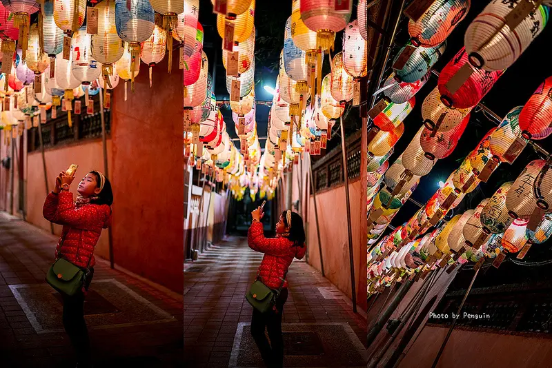 台南好好拍．中西區．鄭成功祖廟花燈活動．府城成功燈．1/21~3/3春節花燈限時活動