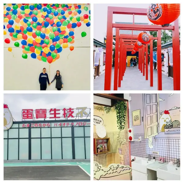 【蛋寶生技不老村】2019桃園最新觀光工廠/來蛋寶找長壽尊求健康平安長壽/打開不老之門發現長壽秘密