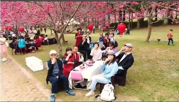 遊玩日月潭 【南投午後茶漾子】