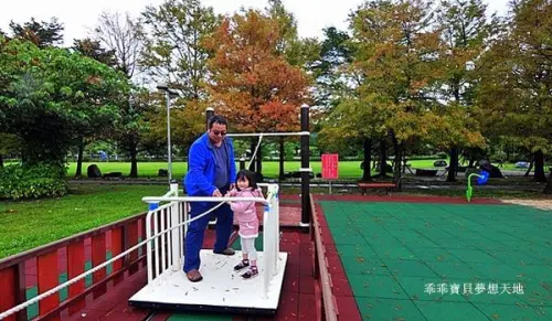 【頭城 / 賞楓】頭城運動公園 - 兒童遊戲場。擁有夢幻的落羽松步道
