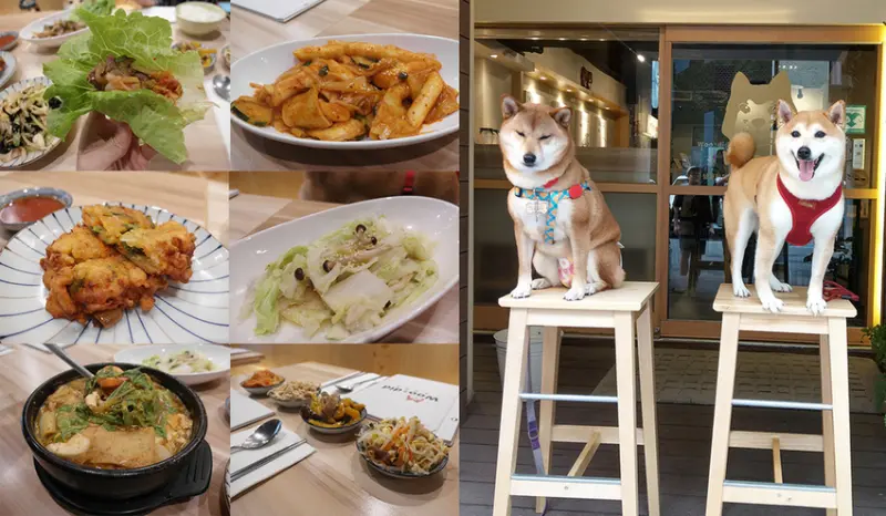 【台北美食】Woodid우리手作韓食 泡菜海鮮煎餅 辣炒年糕 兩人套餐 店長桑尼 捷運信義安和