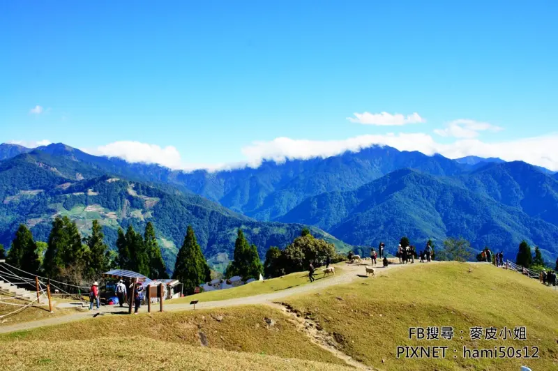 ［南投］美麗台灣，必遊景點！清境農場、武嶺、日月潭一日行程