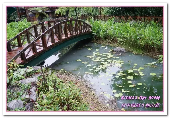 台中森林浴．仁者樂山，來享受山林的清新沁涼吧！──八仙山國家森林遊樂區        
      