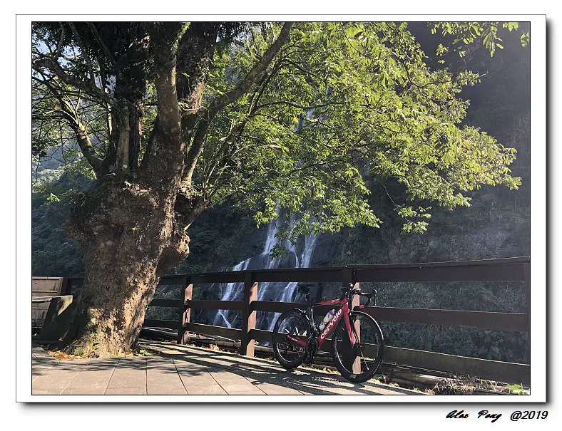 新北市-新店區-君記食堂