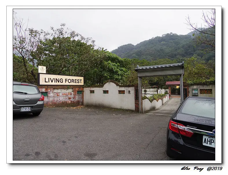 台北市-士林區-森林食堂
