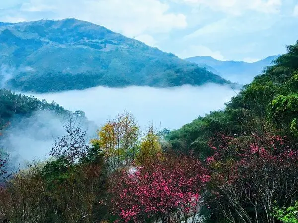 【第三露/芯岳露營區】新竹尖石露營秘境/打開窗即可看到美麗的雲海/服務好、設備佳、景觀美最佳露營盛地