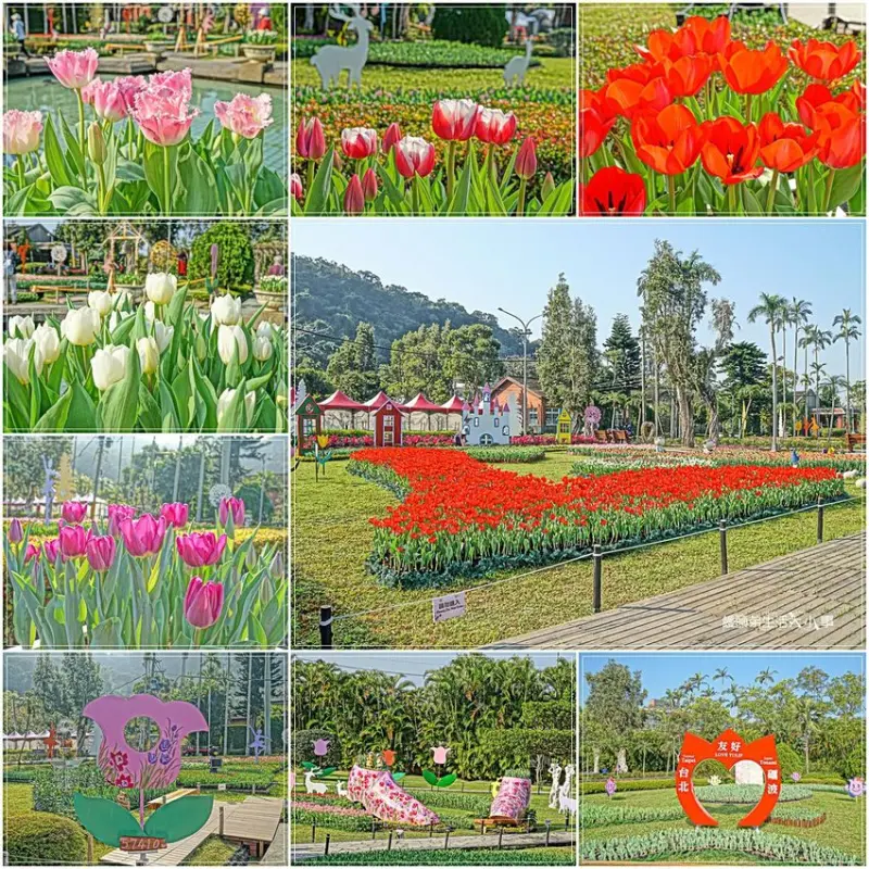 【台北景點】士林官邸／士林捷運站～2020士林官邸公園鬱金香展，展出日本及荷蘭的鬱金香合計10萬株(活動2020/2/14~2/23止)