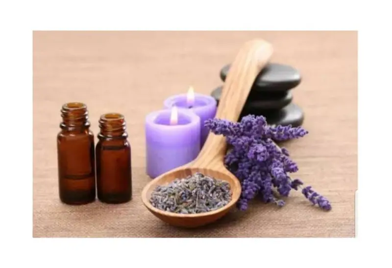 板橋峇里島  專業女子SPA按摩