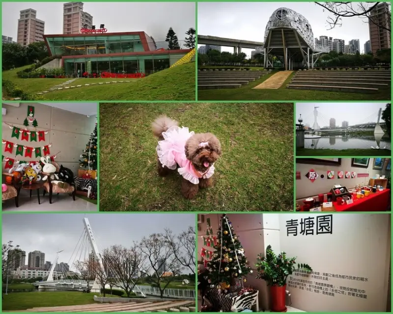 ※寵物友善餐廳※桃園高鐵最美生態公園~青塘園內豆薈趣Coffee Shop★小精靈胡扯蛋★2019.1.4