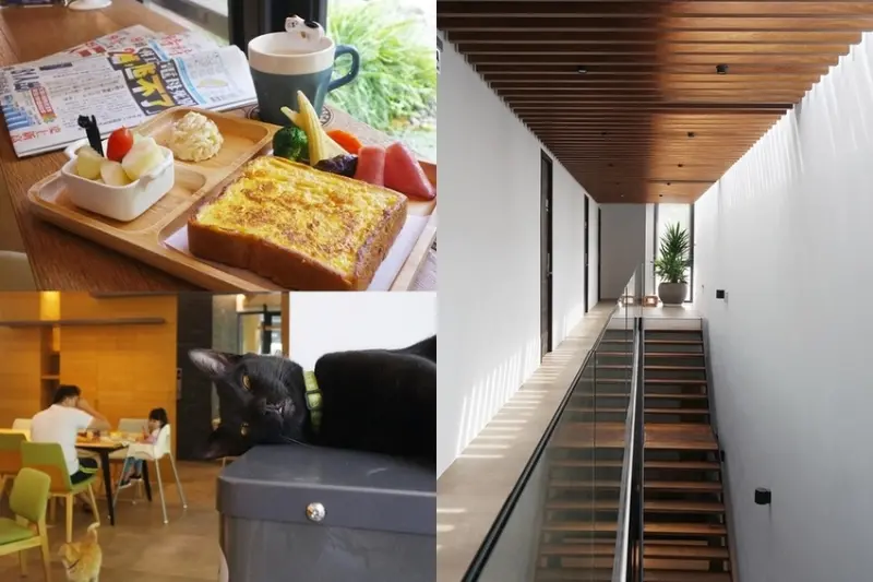 【住宿分享】南投旅遊,日月潭民宿推薦,DORIS HOME B&B 朵麗絲的家,寵物友善貓咪民宿