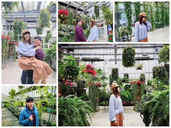 【新竹室內景點】藝花源-台灣花鳥園，歐式森林花園超好拍，享受被綠意盎然的花草包圍著!