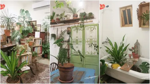 [大稻埕散步趣] 台北 草原派對~花草系網美餐廳，還有可愛蛋盒早午餐