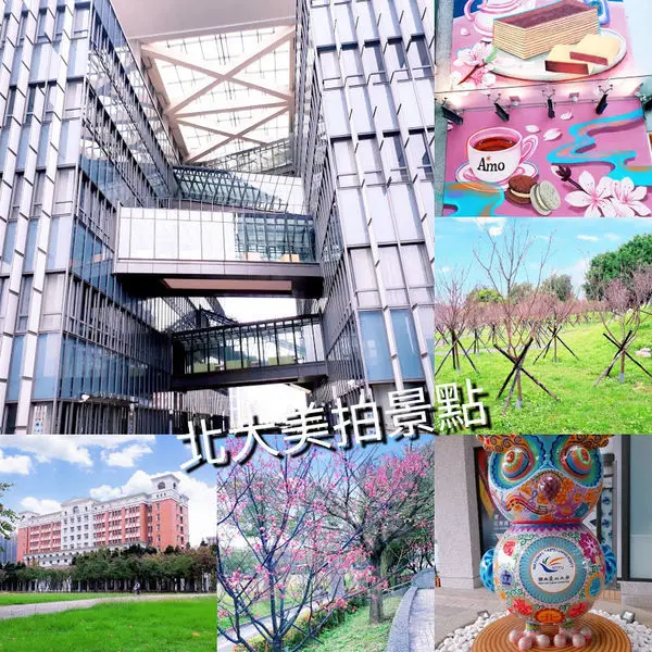 【心湖櫻花步道/圖書館/阿默蛋糕/法律學院】新北賞櫻秘境/北大美拍四大景點2019/北大美食採色餃點