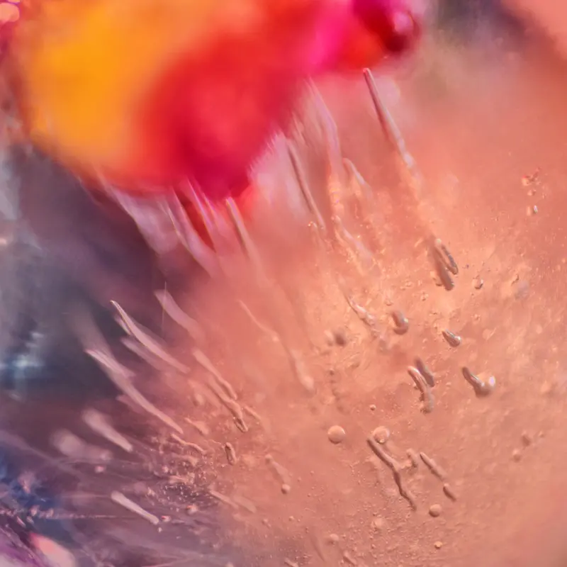 花藝設計的創作概念衍生至生活藝術的樂趣