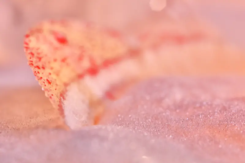 新竹免費攝影講座｜致我們生命中所愛之人 