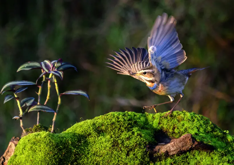 2020新竹美展 竹塹獎得主「發現你、我、他」亞洲人文景致攝影展 