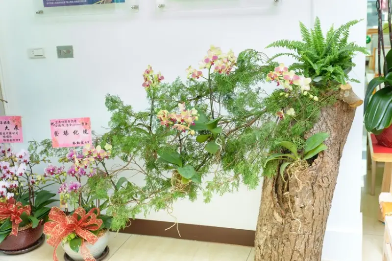 新竹苙森林藝文空間展開新世界，新世代的文化價值