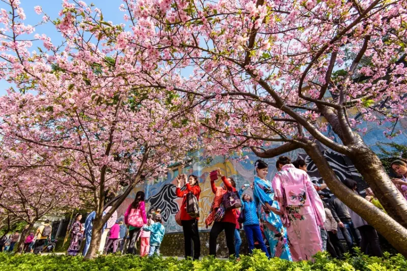 新竹竹北 ｜新瓦屋 Ｘ 苙森林 聖誕裝置藝術＆攝影聯展的啟發和美學培養