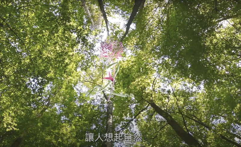 苙森林結合歐洲當代藝術家，推出藝術美學創作課程！