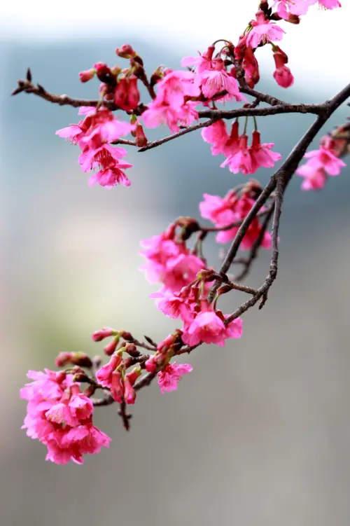 新竹最棒的攝影展覽：亞洲人文景致攝影創作講座分享會～免費！