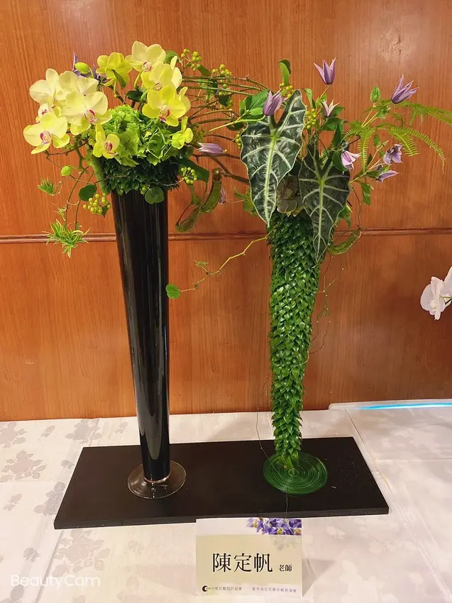 新竹｜苙森林國際藝術共享平台 黃金藝術文化計畫正式展開！