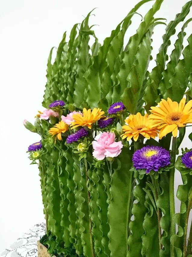 新竹 竹北｜ 苙森林用花藝看世界 獨樂樂不如眾樂樂！