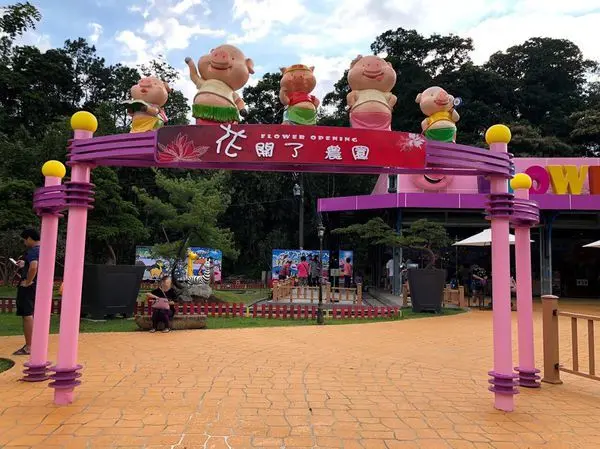 【花開了 休閒農園】免門票/免停車費，大溪親子遊憩景點
