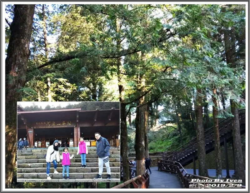 《嘉義阿里山景點》阿里山森林小火車/沼平站走森林步道賞景/充滿芬多精的森林/2019.02.09春節大年初五南遊『阿里山國家森林遊樂區』              
