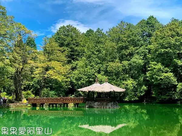 享受大自然的藝術創作與滿滿芬多精　   四季都有不同的魅力　　阿里山國家風景區　　親子友善旅遊景點