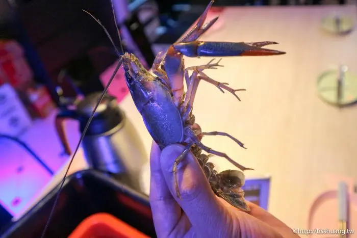 台北小巨蛋火鍋美食推薦｜水貨－炭火烤魚火鍋養顏又美容｜重慶烤魚一爐二吃（附菜單）