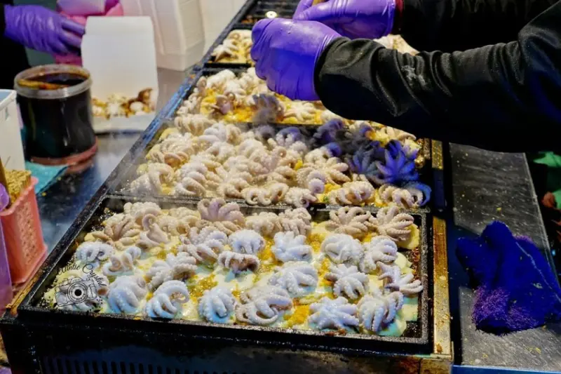 【新北】葉起士 整隻章魚燒 安和國際觀光夜市小吃