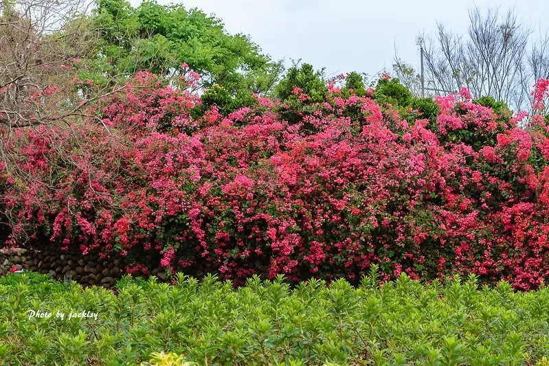 200314台中-東大公園