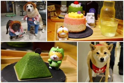 【食。板橋】自由式Free Form〜板橋寵物友善甜點店推薦。手作甜點的幸福滋味，小富士戚風細緻優雅，走過路過，千萬不要錯過！寵物有