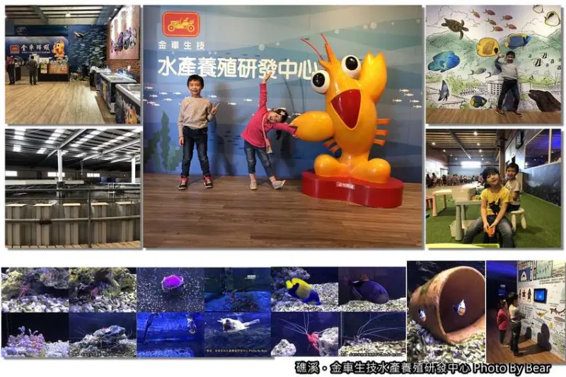 【礁溪】「親子景點．金車生技水產養殖研發中心（海洋生物/兒童遊戲區/現場氽燙活蝦/簡餐/下午茶）」
