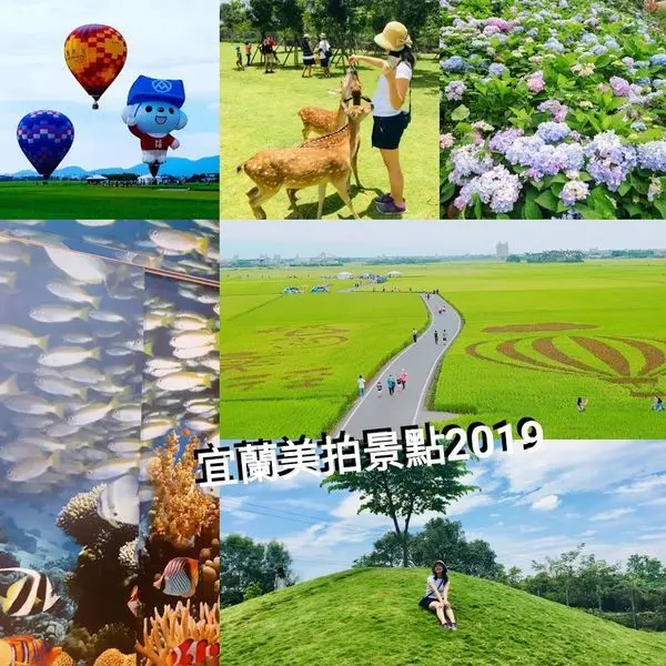 宜蘭最新美拍景點2019│金車水產養殖中心│北宜公路縣界公園遇見超美繡球花海│跟著我們就醬玩宜蘭