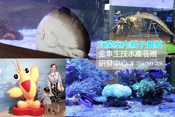 宜蘭室內親子景點//金車生技水產養殖研發中心//鯊魚魟魚餵食體驗、室內水族館 雨天備案景點--宜蘭礁溪鄉