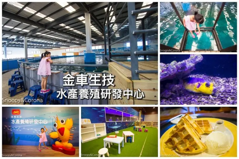 【宜蘭景點】宜蘭免費親子景點｜金車生技水產養殖研發中心～近距離觀賞海洋生物，還能體驗鯊魚餵食