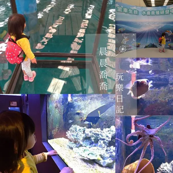 宜蘭免費景點【金車生技水產養殖研發中心】全新設施~鯊魚魟魚悠遊腳下/室內大型水族館/鯊魚魟魚餵食體驗/設有兒童遊戲區/有販售餐點/必吃金車白蝦超鮮甜