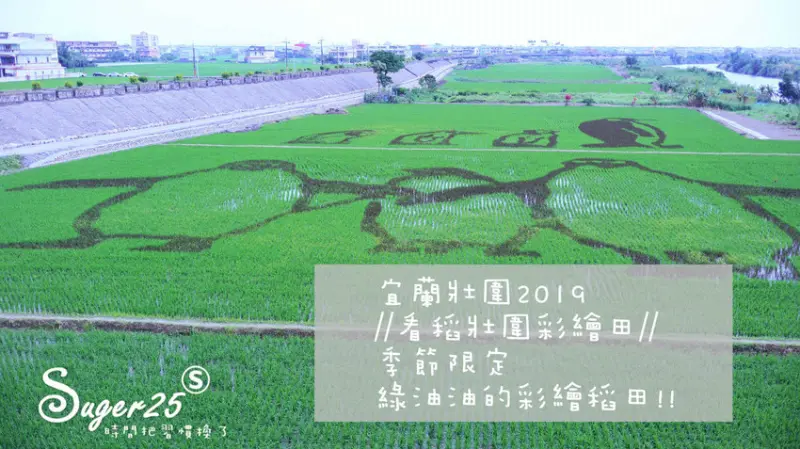 宜蘭旅遊/免費景點2019//看稻壯圍彩繪田//季節限定企鵝手牽手~綠油油的彩繪稻田!!--宜蘭縣壯圍鄉