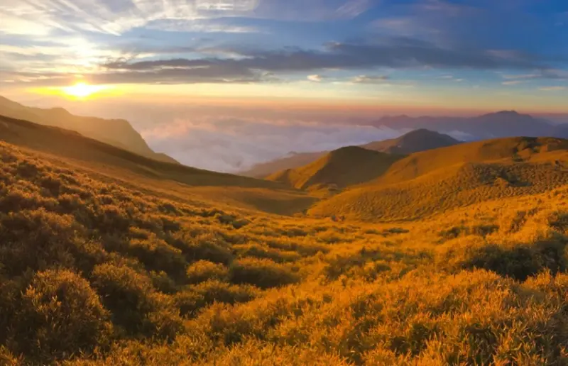 【奇萊南華_能高越嶺古道_黃金草原_山林秘境_山旅戶外】｜台灣_南投縣_國內旅遊