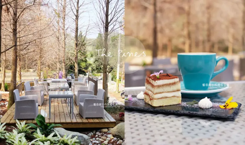 台中新社│松之戀-近400株落羽松森林和湖岸景觀，賞櫻之後來份下午茶吧 - 藍色起士的美食主義