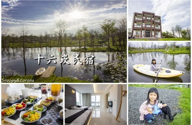 【住宿．宜蘭】宜蘭員山包棟民宿／十六崁民宿～佔地寬廣、生態豐富，划船、餵魚、烤肉，還有落羽松小徑