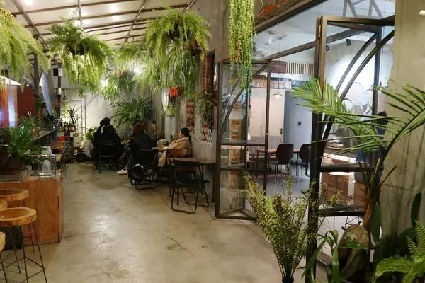 【食紀】新竹遠百巷弄/弄點咖啡酒吧(ㆁᴗㆁ✿)森林系小清新（內有影片／新竹美食／同學會／奶酒、啤酒、調酒）